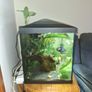 Aquel tank 120L Image 3