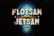 Flotsam and Jetsam When The Storm Comes Down Original MCA pressing MCG 6084