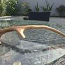 Wild Irish Red Deer Antler Image 3