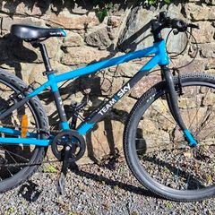 Frog 69 Kids Bike