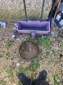 Garden items