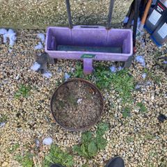 Garden items