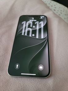 iPhone 13 Pro Max unlocked