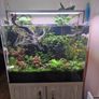 Complete Planted Aquarium Setup & Oak Cabinet Image 2