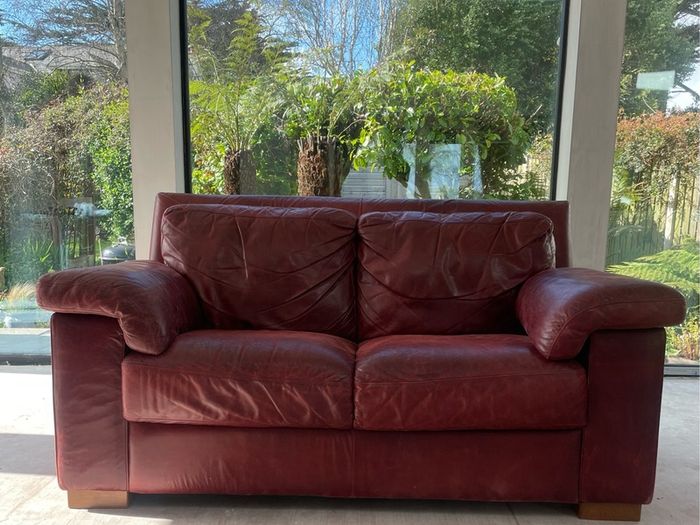 Natuzzi two seater