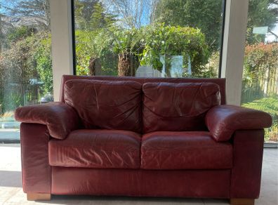 Natuzzi two seater