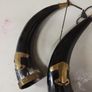 Buffalo horns Image 5