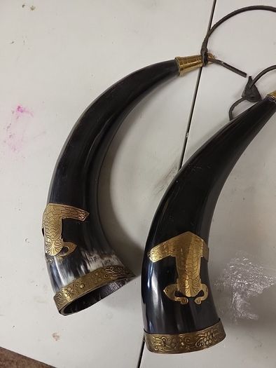 Buffalo horns
