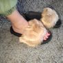 Fluffy fur slippers sizes 37-41 sizes 4-8 Image 5