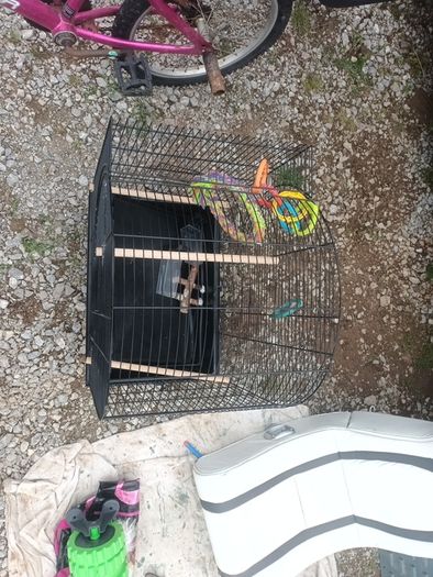 birdcage