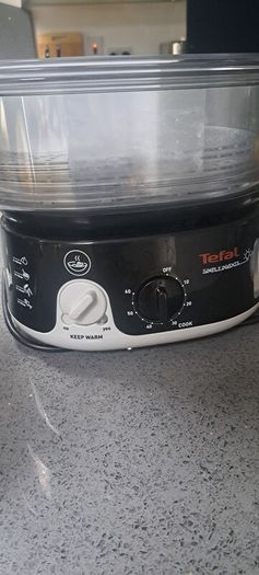 juicer and steamer