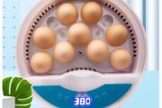 NEW 9 Eggs Automatic Incubator for Bird Chicken with smart control turnover incubator