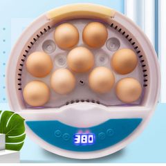 NEW 9 Eggs Automatic Incubator for Bird Chicken with smart control turnover incubator