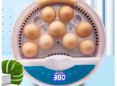 NEW 9 Eggs Automatic Incubator for Bird Chicken with smart control turnover incubator