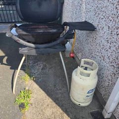 Weber gas bbq