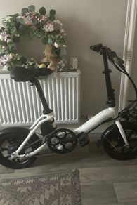 electric bike Fiido D3 pro
