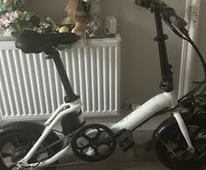 electric bike Fiido D3 pro