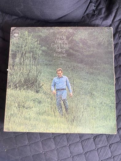Large Vinyl Record Collection