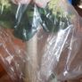 Wedding Bouquet Image 2