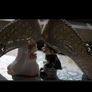 Wedding Image 3