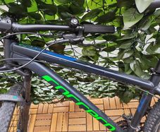 carrera bike