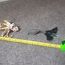 sea animals bundle Image 2