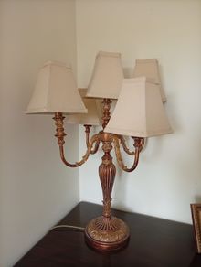 5 arm Lamp