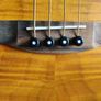 Aria Fretless Acoustic Bass FEB-F2/FL - Electro-Acoustic - Thomastik Strings - Gig Bag Image 7