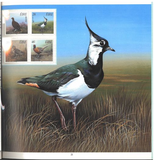 1988/89 Ireland The Irish Stamp Limited Edition Hardback Year Book. Contains all commemorative stamps from June 1988 to June 1989. Included 44 images of conents