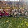 Weehoo Igo 2 Bike trailer Image 4