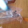 Dacia wiper motor and linkage Image 2