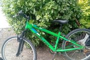3 bikes