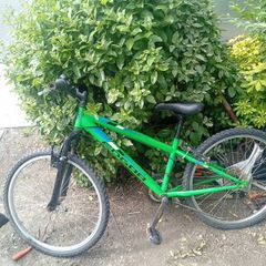 3 bikes