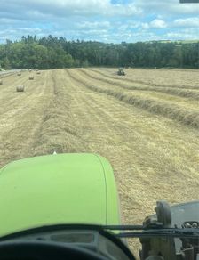Hay for sale