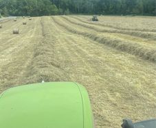 Hay for sale