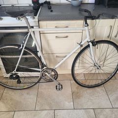 Xxl mens raleigh bike