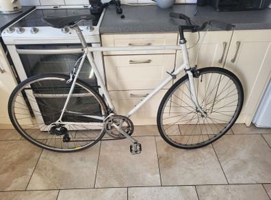 Xxl mens raleigh bike