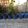 20x small plastic plant pot Image 5