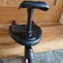 Buggy Board with seat Image 3
