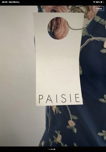 dress Bnwt Paisie occasion wear dress size 10