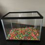 Fish Tank Image 2