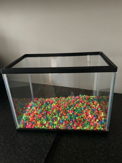 Fish Tank