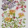 Print of a watercolour painting of berries and flowers Image 3