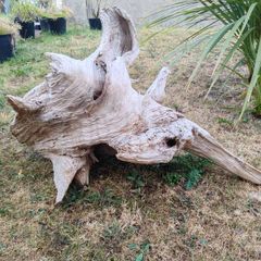 driftwood