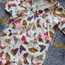 6-12m, With Tags Powell Craft Butterfly Collared Romper Image 2