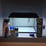 Fish Tank Image 2