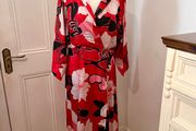 Silky Zara dress