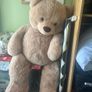 Teddy Bear Image 3