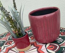 Plant Pot and Fake Plant Ornament