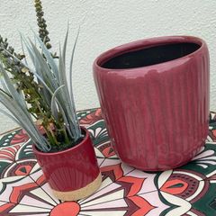 Plant Pot and Fake Plant Ornament